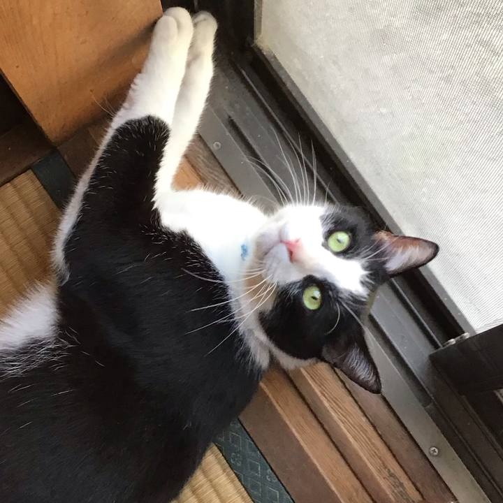 5bcc8a96 a43a 4c07 a257 896b4c6282a1 1756536710476