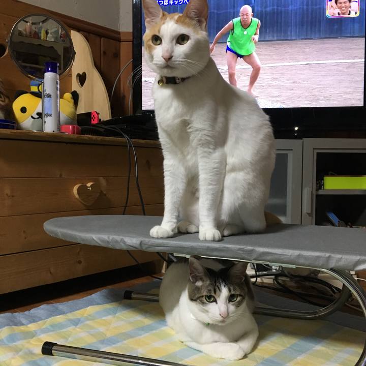 5bccf1f0 56ec 410d af7c 2f041b30dce6 1525005842651