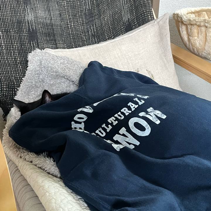 5bcd387b 8dd4 4b64 882e d3b41dd83505 1761383426022