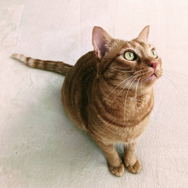 5bcd6772 dbe8 47a7 ac4c 4aff56319056 1653809817681