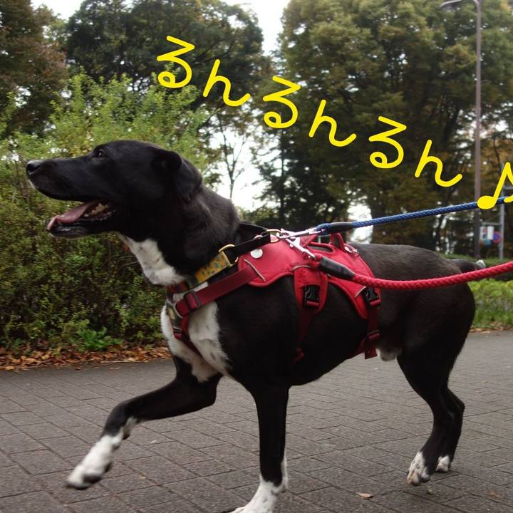 5bcd67d6 7098 4fe4 b3b2 6919e6c43b3f 1604795094588