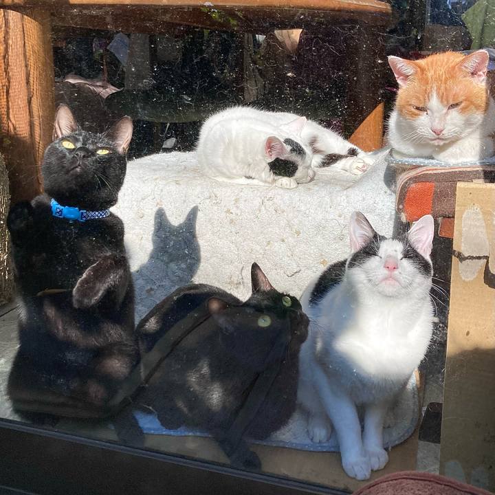 5bcd783f d0e5 4d5d 9ea7 9dfdd632c4c1 1667022541743