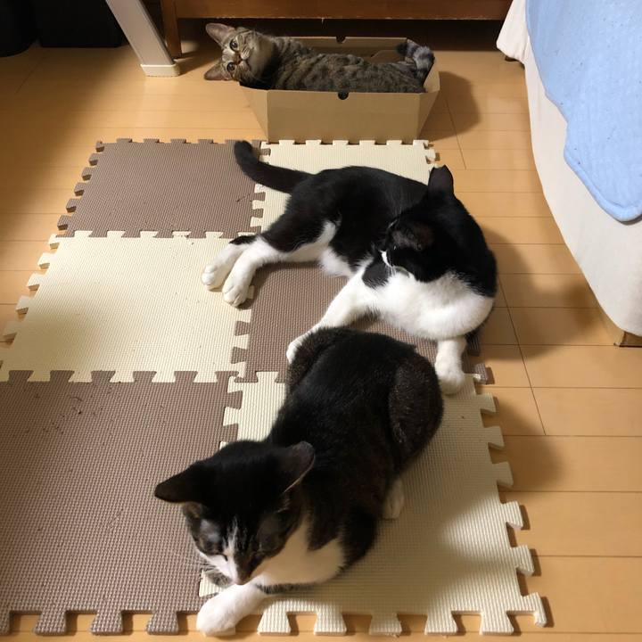 5bcd8e1a 551d 43fd 9626 572c3cc8d021 1567746440844