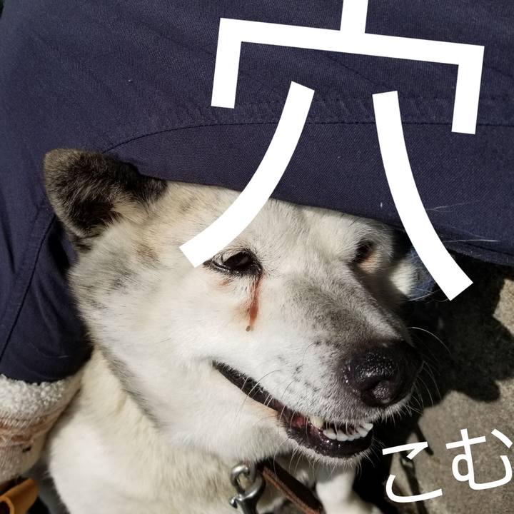 5bcd8fa9 44fb 4524 bad4 e01d8bf9c82f 1714400599420