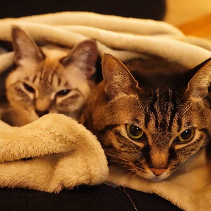 5bcdda19 8bd0 4c31 bd6c 92a3ae505193 1672485948322