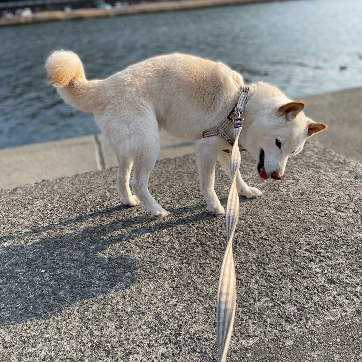 5bce3be9 5240 45c0 b35b 828eb1468ff1 1647086558980