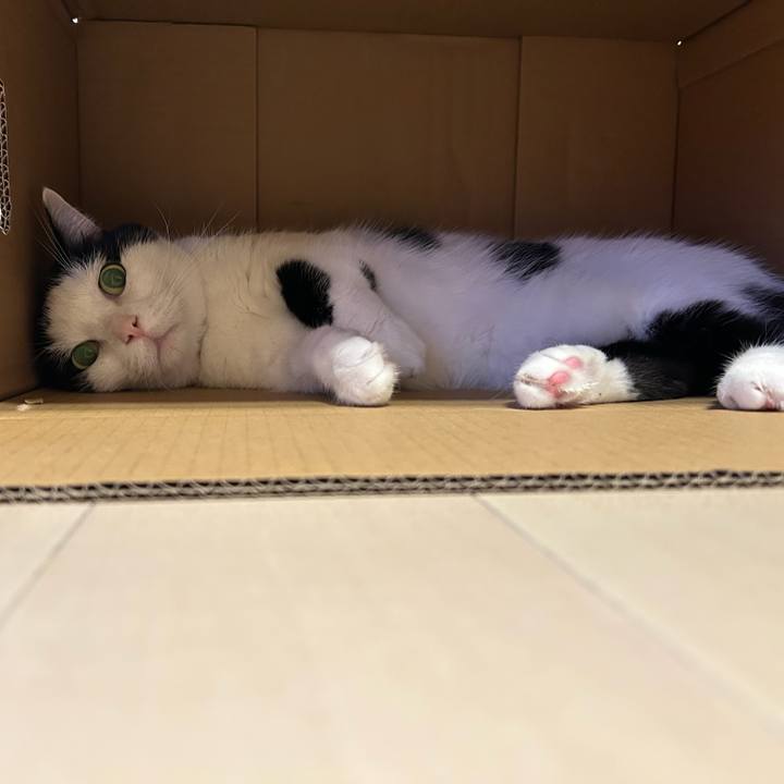 5bce4d2b 91ea 4996 8748 4d7e208c2559 1759627344065