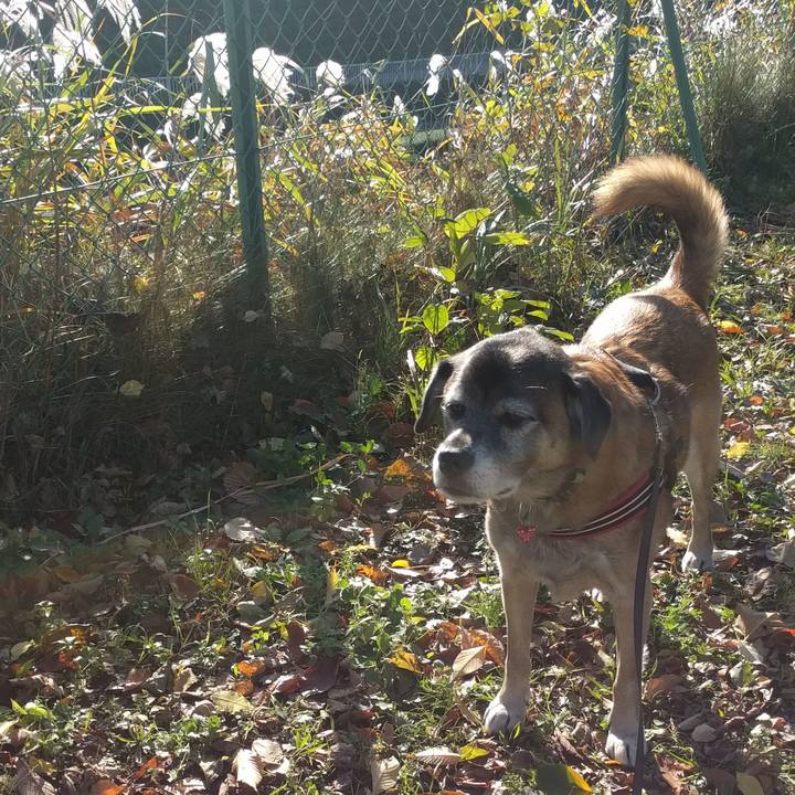 5bce96f7 8d13 4e0e b817 f2ead4aa41a1 1511482894793