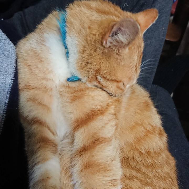 5bcefd7b 35a4 400d 86ed 14aaa83f2095 1556745064636