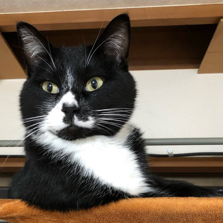 5bcf1209 6793 46a2 b4ce 0a23257fb3fc 1640834067606