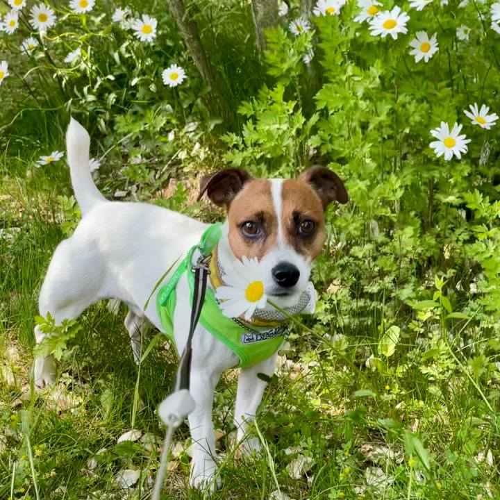 5bcf1c4d 76f5 43c4 a3a2 1c1444e7247a 1708921306601