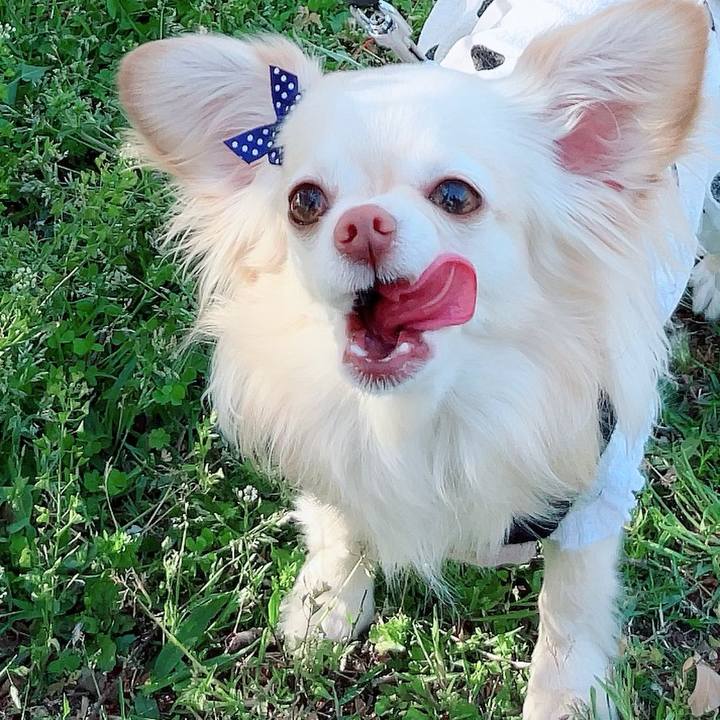 5bcf27f3 6938 4f2b 8720 7c6a3153c85f 1713084139565