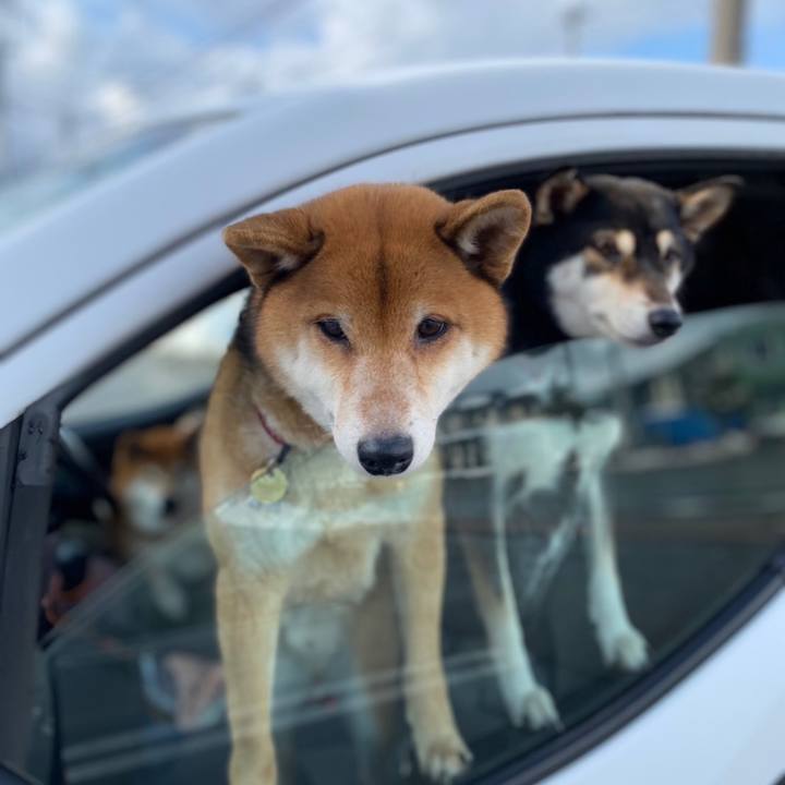 5bcf4d85 8792 46e1 8099 14527b3d9464 1643499248516