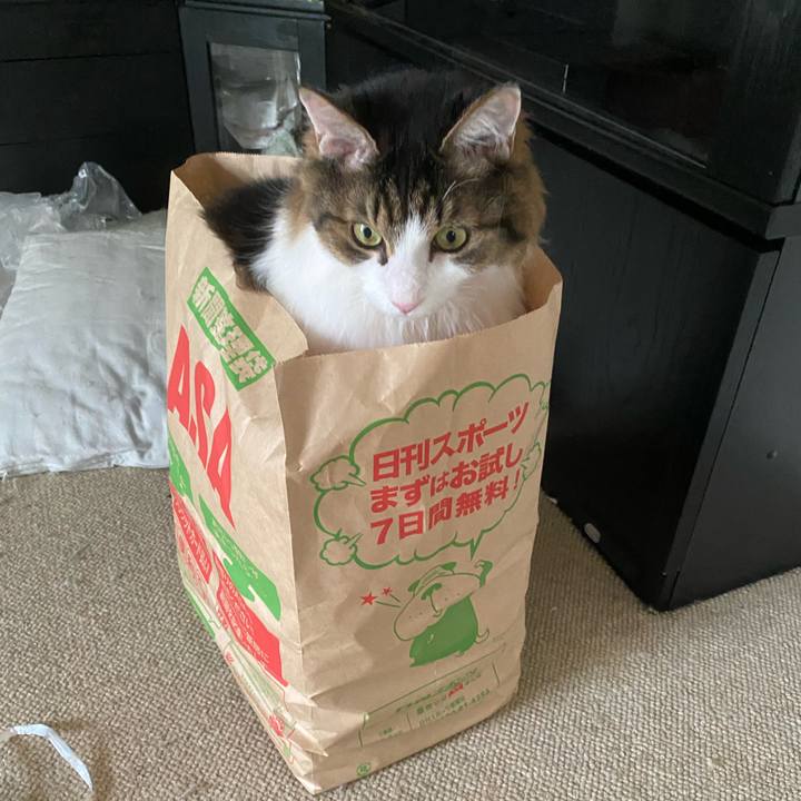 5bcf52ce 63a1 4702 bdb0 60a6cff648e0 1662707712914