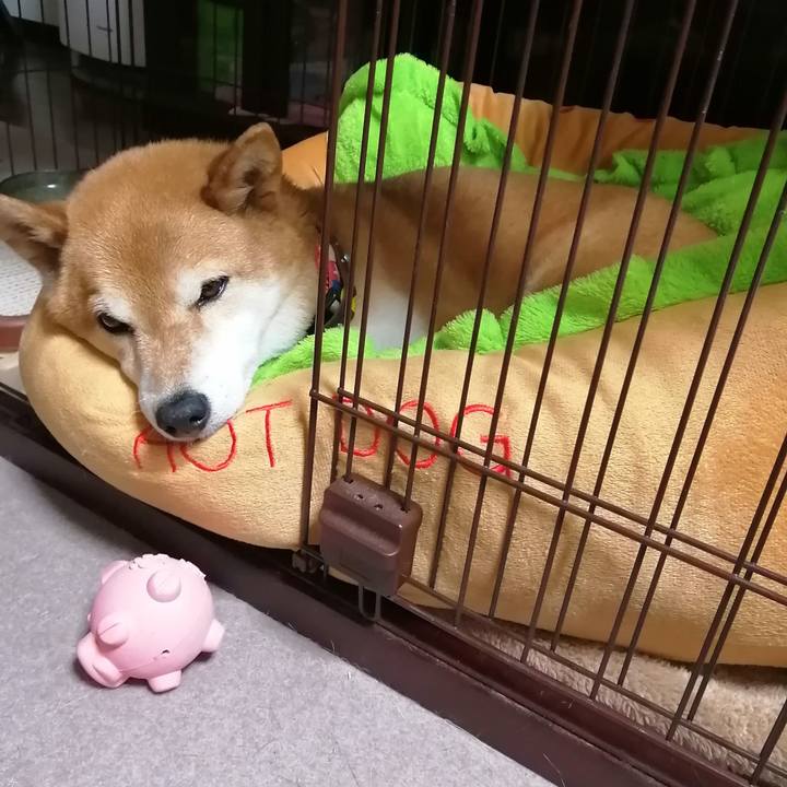 5bcf891a 9299 40cf aa85 63bb0d9e89f3 1681309157341