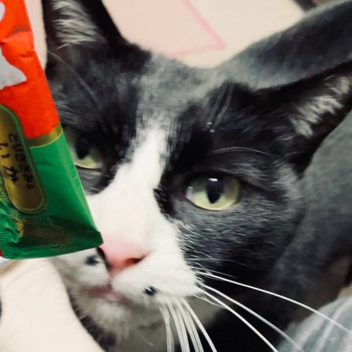 5bcfb456 f666 4d1f 832a 6137898823a0 1742376705612