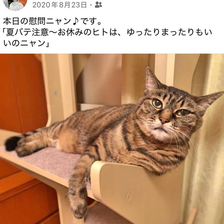 5bcff53c 4db6 4ab9 a7f4 2b1190abe6a2 1755918369256
