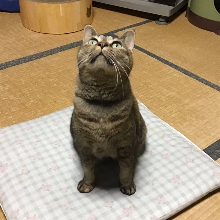 5bd03c01 629e 4648 bbe3 752d9936df7e 1758359246111