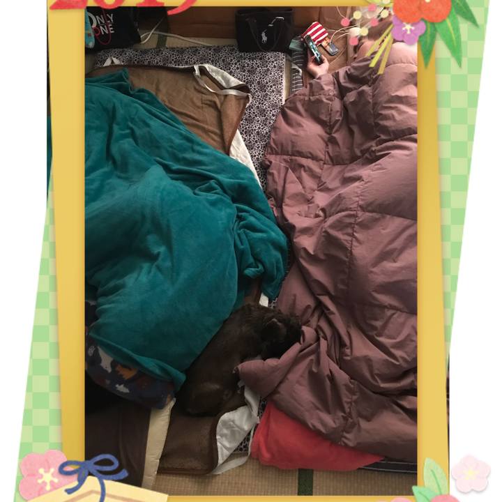 5bd0562c db71 41aa a45b cbfea8834ea9 1546305055218