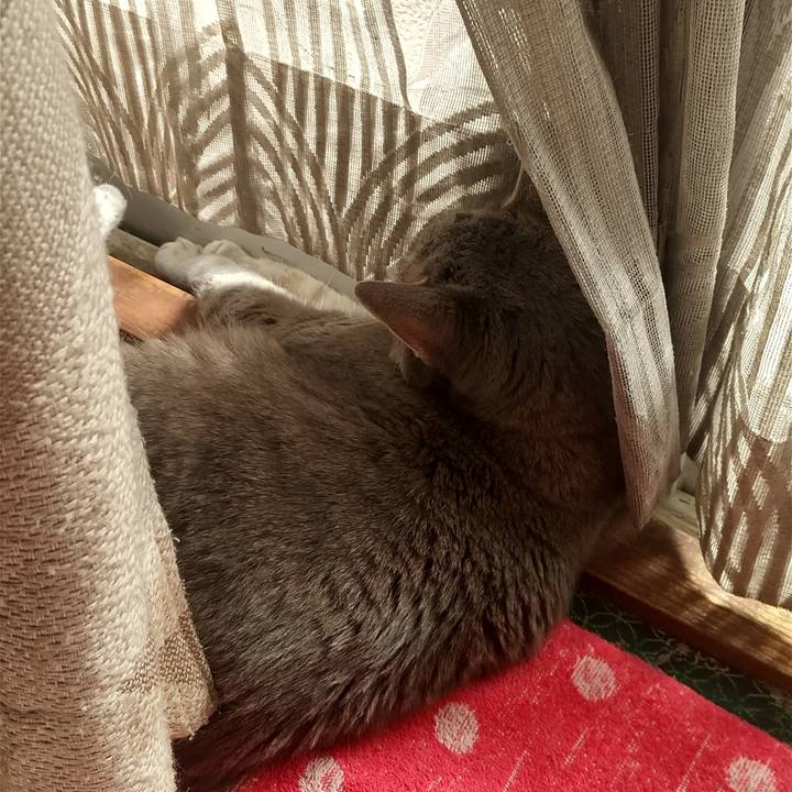 5bd05cab ef29 4870 99eb 24368f4c813e 1669515820311