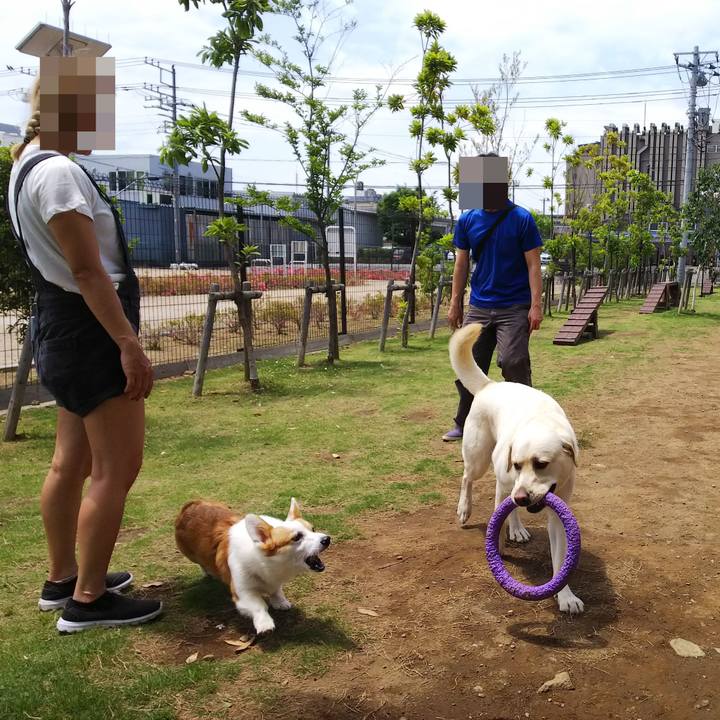 5bd0dd0f 0f3e 4159 ad73 45eb9d966371 1526976816508