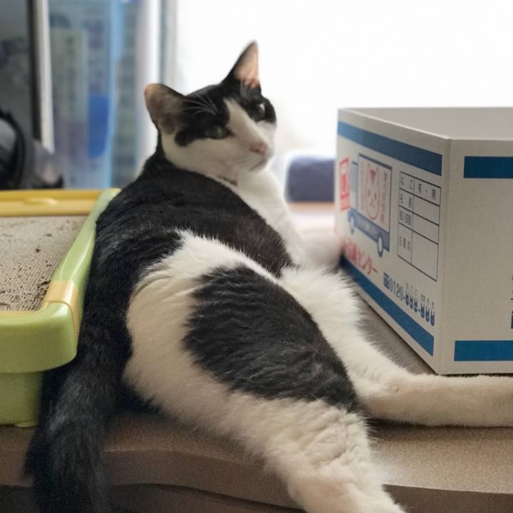 5bd0f33c 7d76 43f4 88a4 c0b002d5d9d7 1534121493508