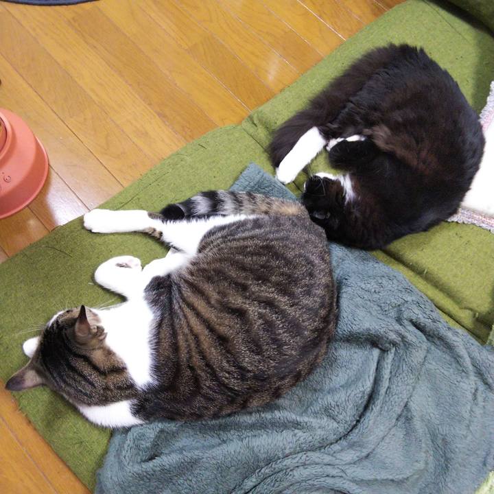 5bd0f901 e13c 48e5 b352 56edca2766d3 1647599045701