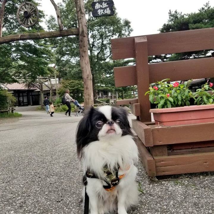 5bd109ee 1dfd 45b7 b875 b61cc990937f 1663850730493