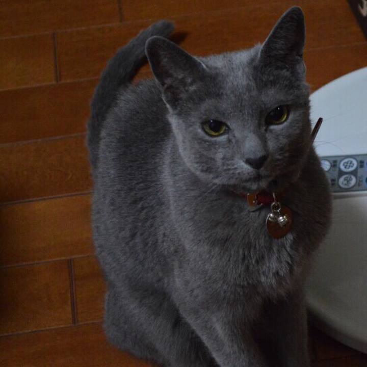 5bd10a97 ed6c 4617 86db 44d1a798bdd8 1513170914308