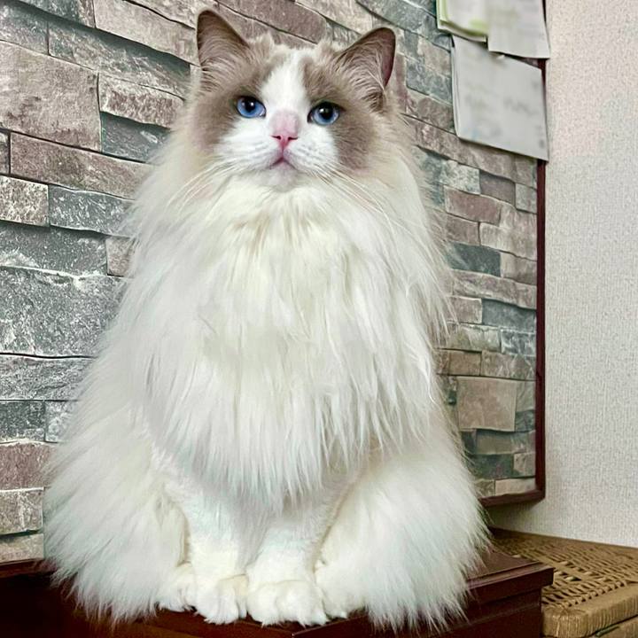 5bd16c65 c105 44e2 b653 2d102a88d32f 1644949010964