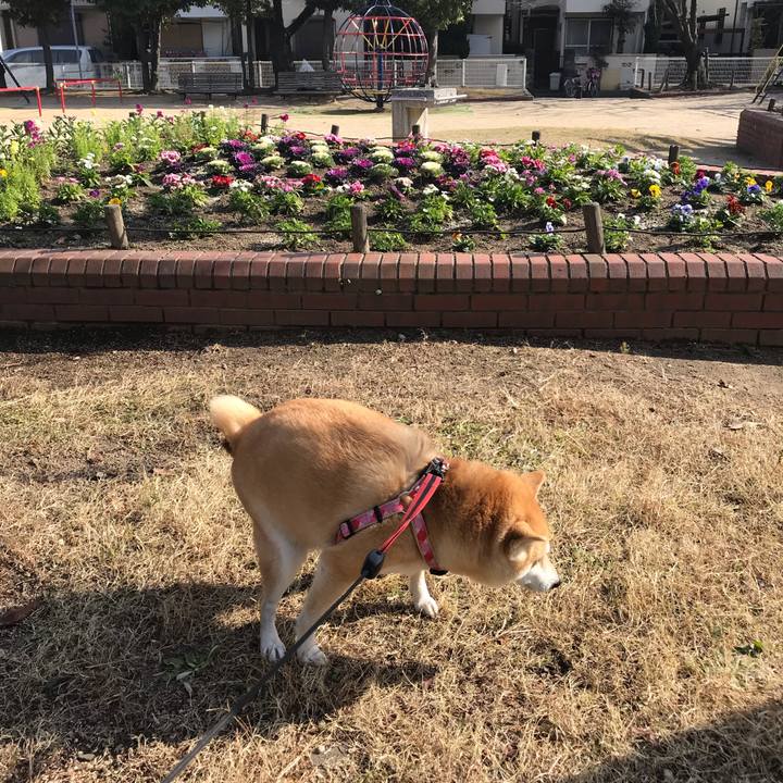 5bd1bfd5 094e 4bfc 94c4 e4dc19f99d39 1545305386545