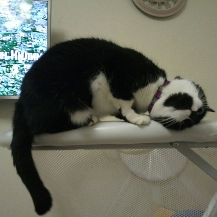 5bd1d79e 4df3 4c79 a718 4fb928f95836 1517159569067