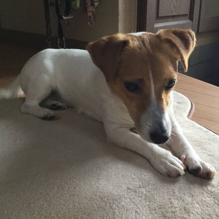 5bd1dbaf a40f 4b6a 8dbc 17fb3a74ea10 1530226351584