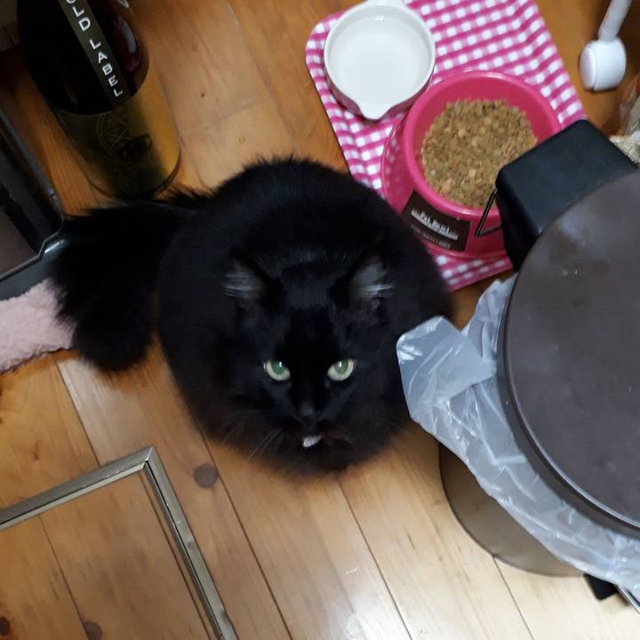 5bd1eeca 4800 4e13 a038 315686d039fe 1521577208179