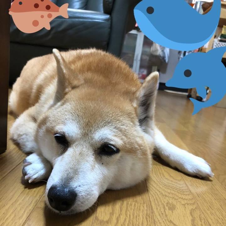 5bd21ecb 6ac5 40d0 ad7b af33422d24a6 1593260927418