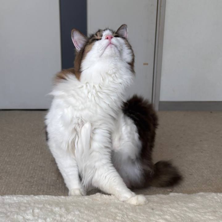 5bd22645 7093 4086 a0af 714598a1f43e 1769041494094