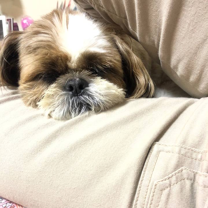 5bd254e3 ed1d 4857 95d8 d3378e9eea61 1530869236607