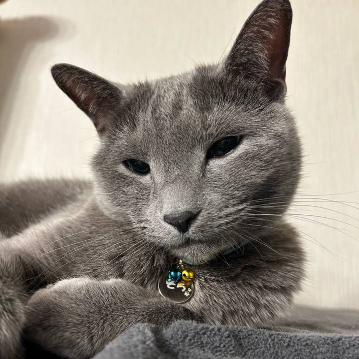 5bd27a69 8975 4775 aa25 66c65a703fb0 1679384385412