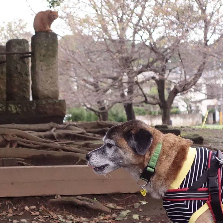 5bd28df5 07a1 4dad a53a 16c8d0301619 1571529877262