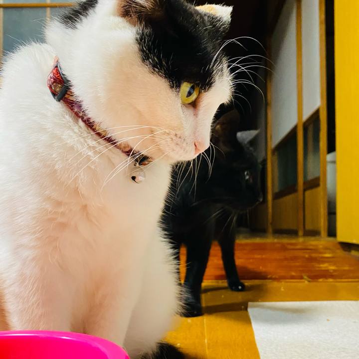 5bd2a97f 3d8c 4b78 bdb6 96694d26e41d 1658497049785