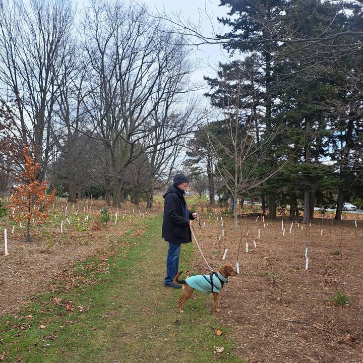 5bd2d24c 1bc8 498c a7a2 77061d4d39db 1764454905449