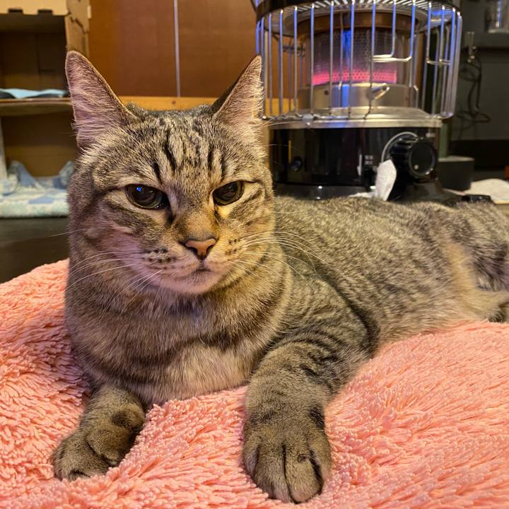 5bd2f316 ee22 4823 8e08 aac933eaf7b9 1741492756009