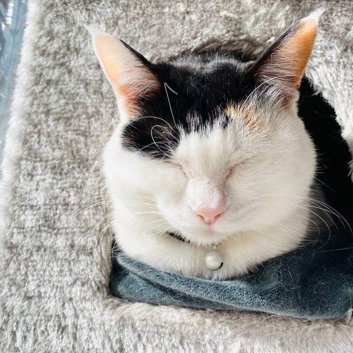 5bd30e83 d385 4052 98e8 176c2b0d311c 1676197354649