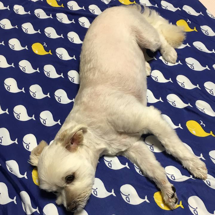 5bd32841 184b 432d 8664 4322bf2bc8b2 1566565445369