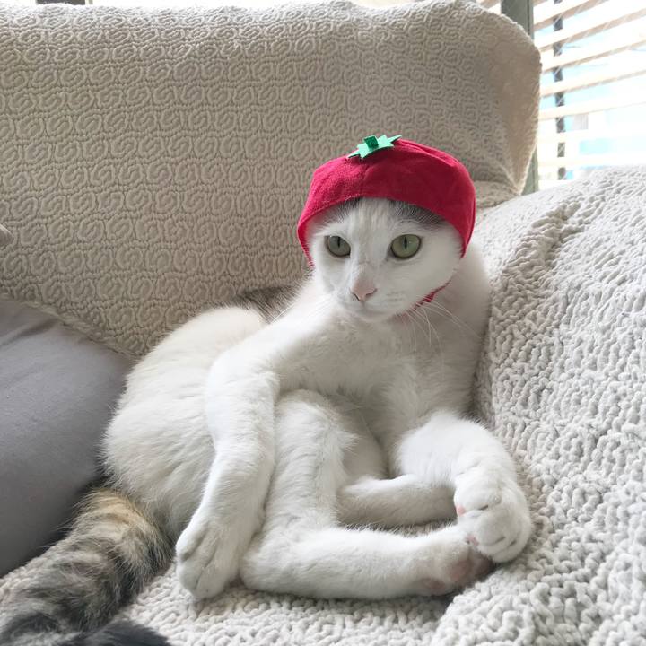 5bd3491d 52f0 4cb7 9245 128c983296fc 1526613258044