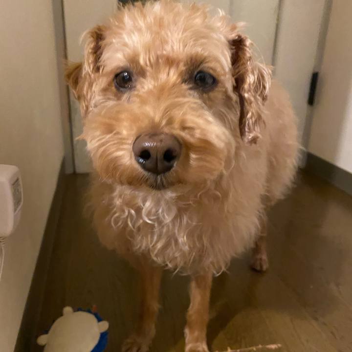 5bd38961 83a8 4024 a741 938f1682bce6 1649752754459