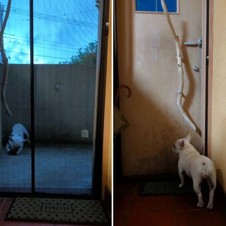 5bd3d5d9 bc87 4297 b633 405e2378fc3c 1666042225199