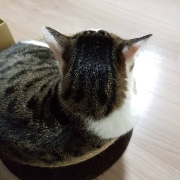 5bd3d8d4 9ea8 4bd0 a5c2 8c8bb48050e5 1623015303329