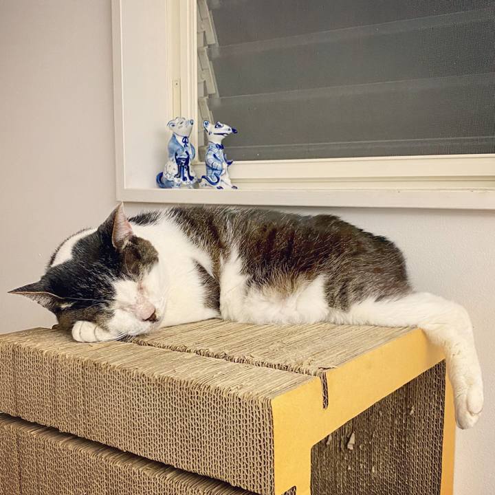 5bd3f2ec cddd 410d 9411 566df40675e1 1596717129972