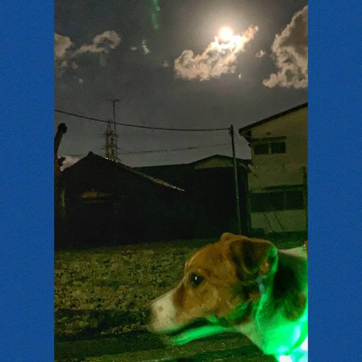 5bd3f6b2 e181 48c9 9c91 195b09567451 1634729820791